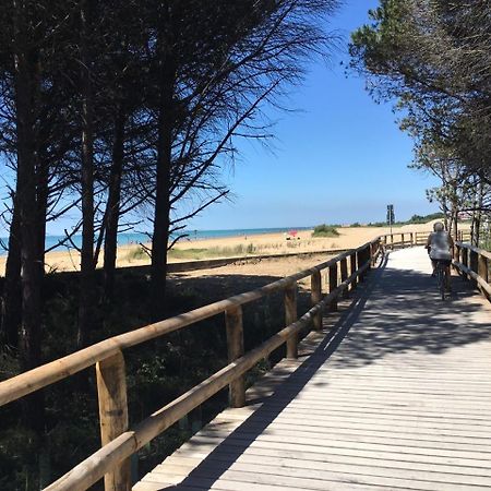 Appartamenti Livenza Bibione Zewnętrze zdjęcie